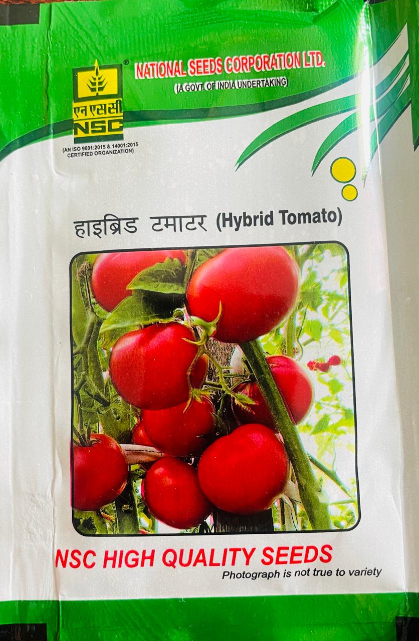 Tomato/Arka Samrat/Hybrid