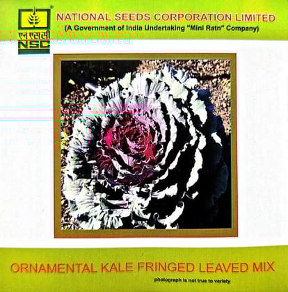 Ornamental Kale Fringed Leaved Mix-3gms