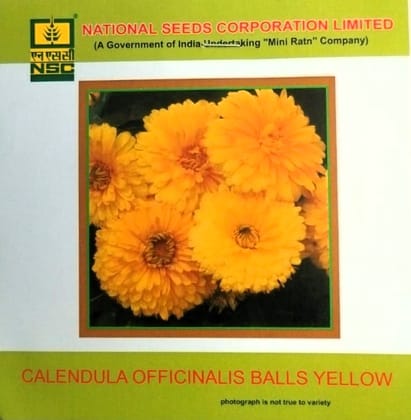 NSC Calendula Officinalis Balls Yellow Flower Seeds 