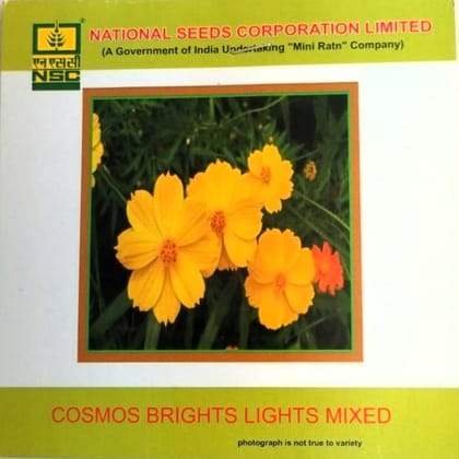 NSC Cosmos Brights Lights Mixed Flower Seeds