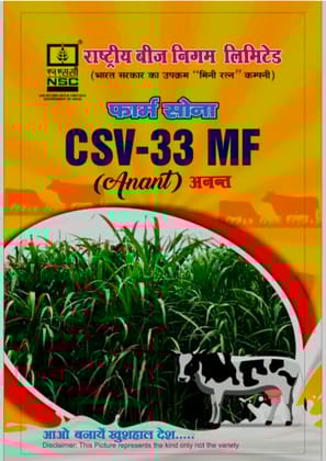NSC Fodder Sorghum CSV-33 MF TL-500g