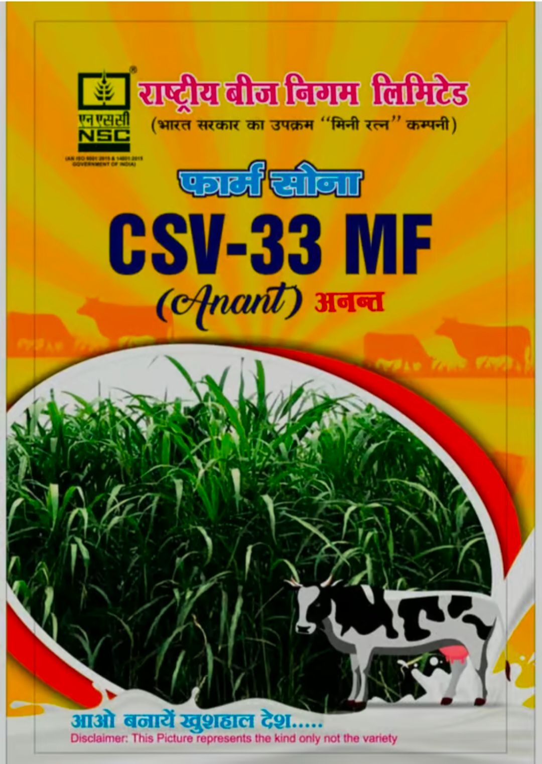 NSC Fodder Sorghum CSV-33 MF TL-500g
