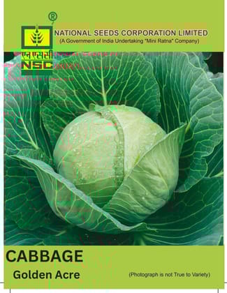 NSC Cabbage Golden Acre, 5gm