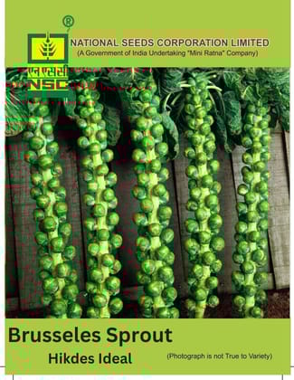 NSC Brussels Sprout Hildes Ideal,5 gm