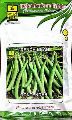 NSC French Bean Seeds (CONTENDER Variety)