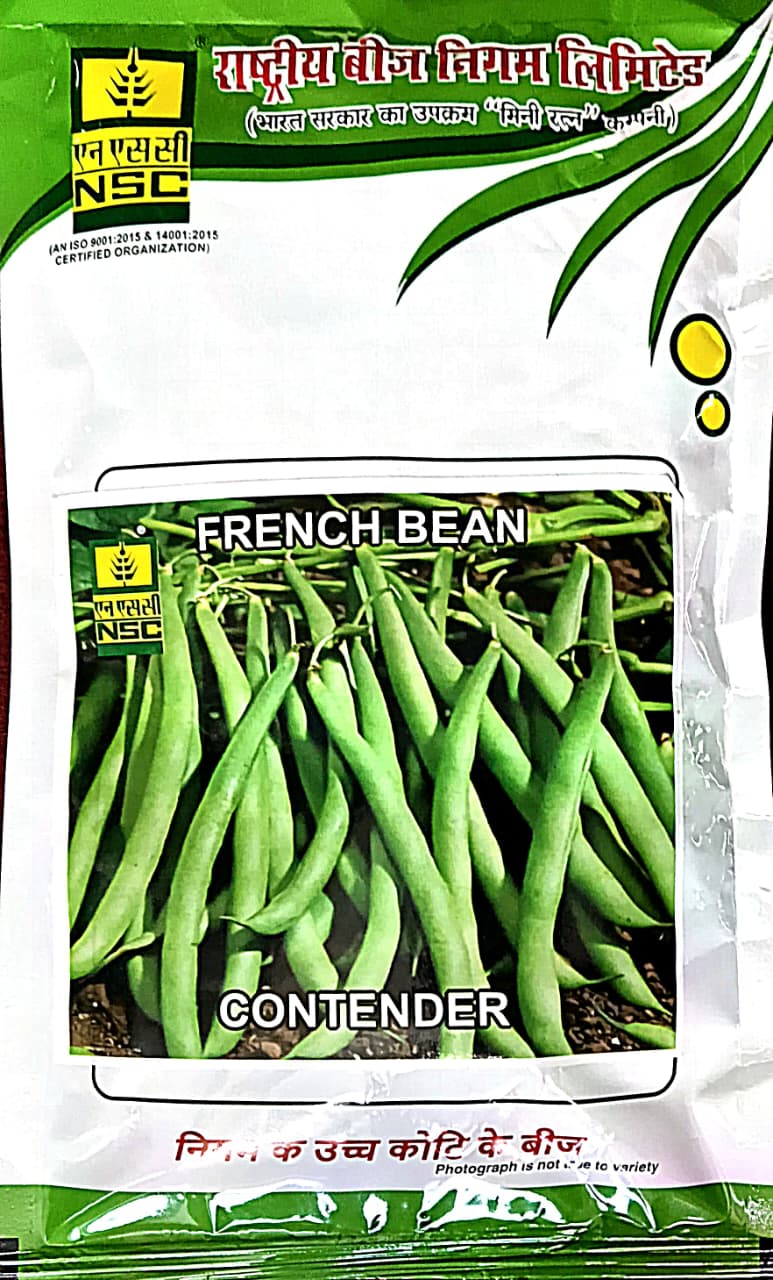 NSC French Bean Seeds (Contender Variety)