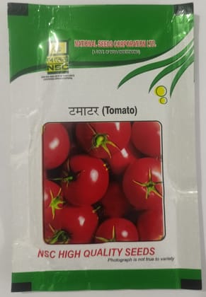 NSC Hybrid Tomatto, Kashi Abhiman, 10 gram Truthfully Labelled Seed Pouch