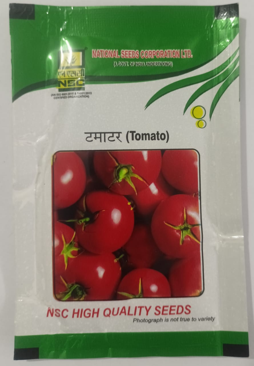 NSC Hybrid Tomatto, Kashi Abhiman, 10 gram Truthfully Labelled Seed Pouch