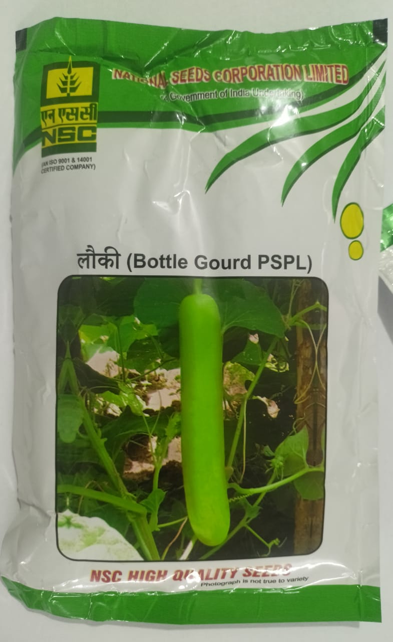 NSC Bottle Gourd PSPL Variety, 100 gram Truthfully Labelled Seed Pouch