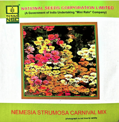 Nemesia Strumosa Carnival Mix-3 gms