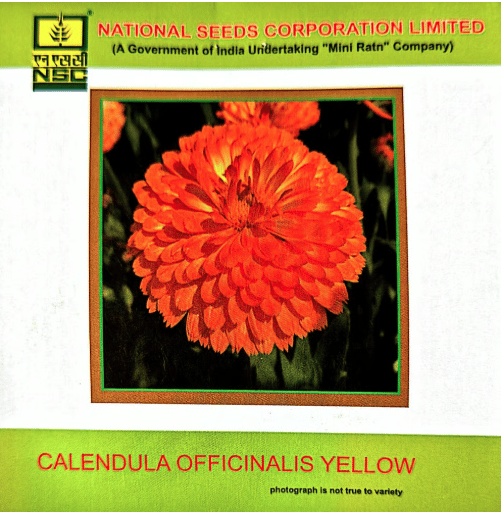 Calendula Officinalis Orange Gitana-3gm