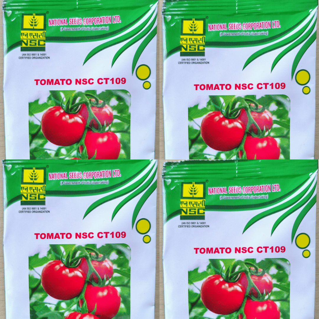 TOMATO NSC CT109