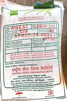 NSC CROP  WHEAT DBW-371