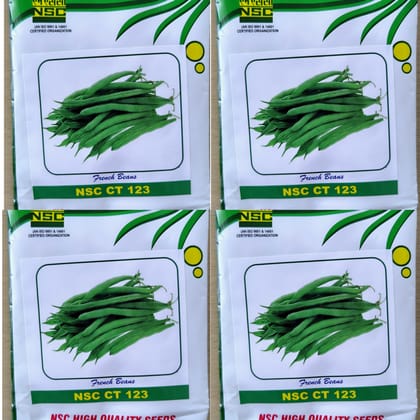 FRENCH BEANS NSC CT 123