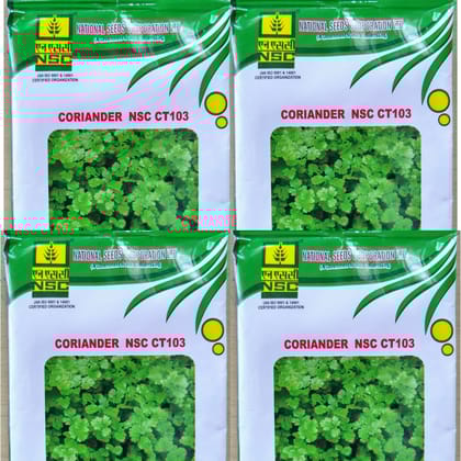 CORIANDER NSC CT103