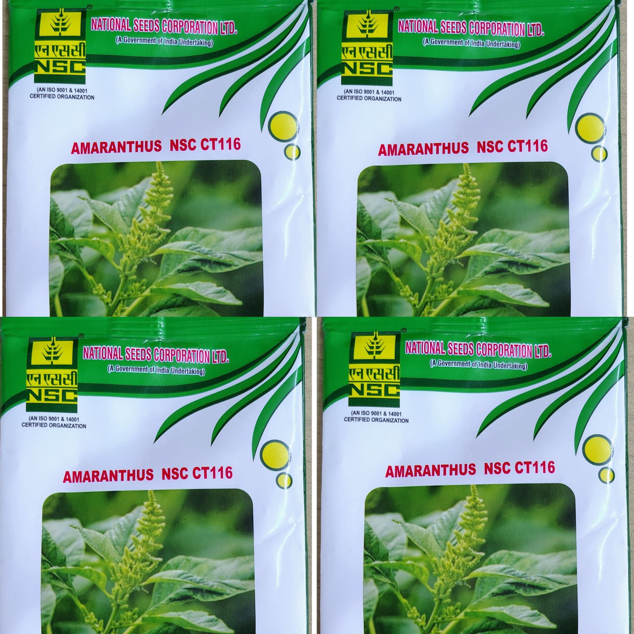 AMARANTHUS  NSC CT 116