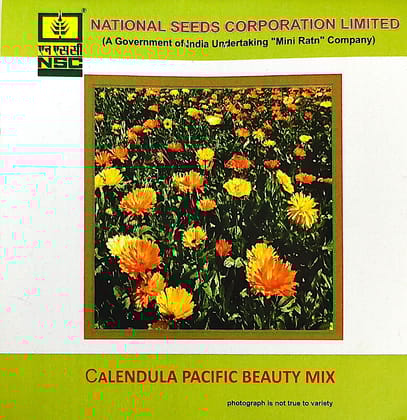 NSC Calendula Pacific Beauty Mix Flower Seed