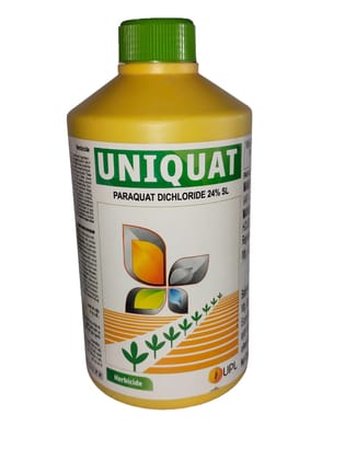 Paraquat Dichloride 24% SL
