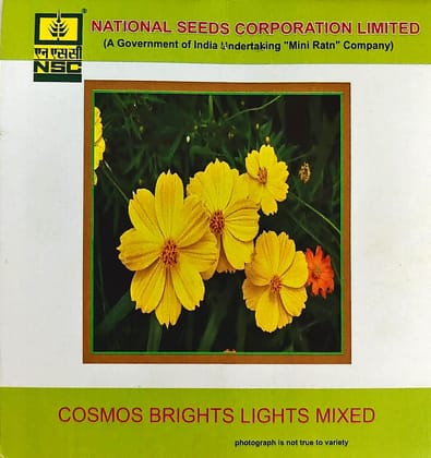 NSC Cosmos Brights Lights Mixed Flower Seed