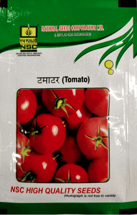 NSC Hybrid Tomato Seeds – Kashi Abhiman (10 Grams)
