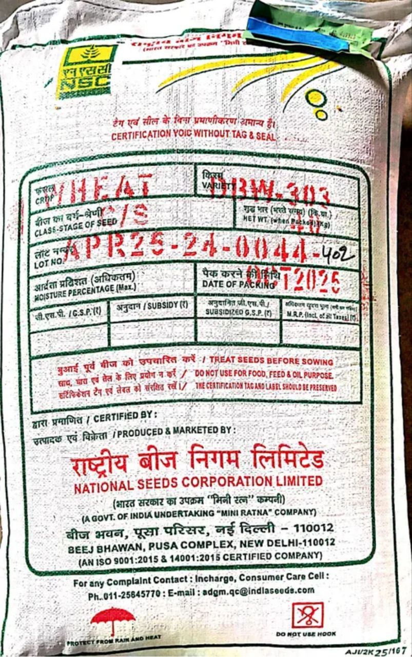 NSC WHEAT Seeds - DBW-303 Variety - 