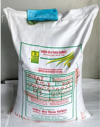Wheat Variety DBW-187