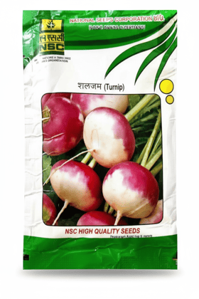 NSC Vegetable Seed- Turnip Seed-PTWG-20gms