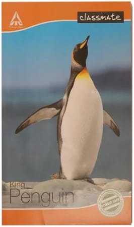 ... ...