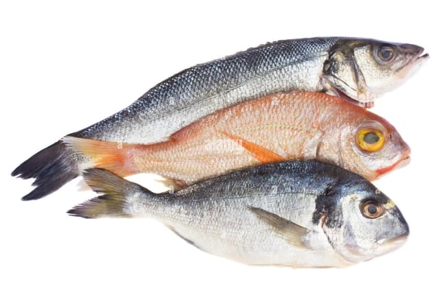 Rohu Fish 