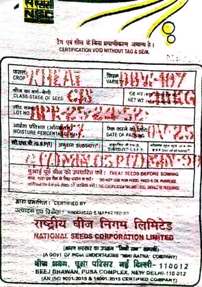 Wheat DBW-187 (Karan Vandna) Seeds