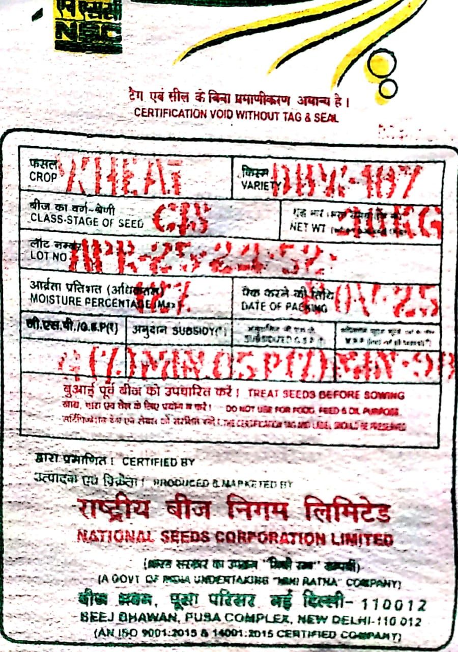 Wheat DBW-187 (Karan Vandna) Seeds