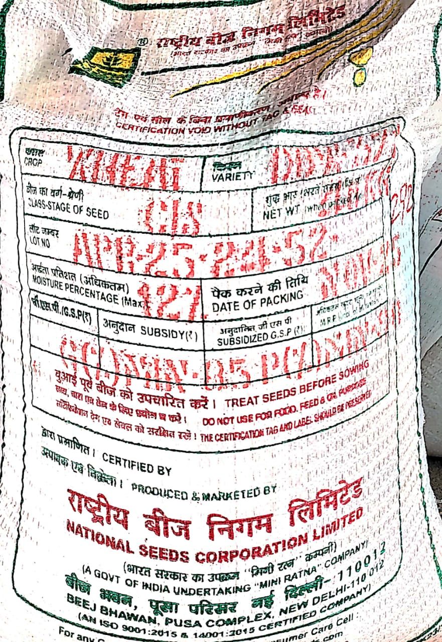 Wheat DBW-371 (Karan Vrinda) Seed