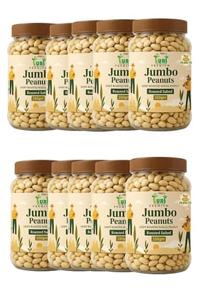 Turf Fresh Jumbo Roasted Salted Peanuts | Bharuch Gujarat Special Mungfali Dana Namkeen | Grade A Premium Peanut Seeds Without Skin | Healthy Snack & Chakna (Safar Saathi – 150g x 10 jar Travel Pack)