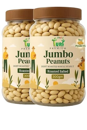 Turf Fresh Jumbo Roasted Salted Peanuts | Bharuch Gujarat Special Mungfali Dana Namkeen | Grade A Premium Peanut Seeds Without Skin | Healthy Snack & Chakna (Double Maja Pack - 300g x 2 jar)