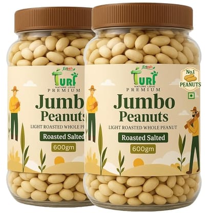 Turf Fresh Jumbo Roasted Salted Peanuts | Bharuch Gujarat Special Mungfali Dana Namkeen | Grade A Premium Peanut Seeds Without Skin | Healthy Snack & Chakna (Bindaas Family Pack – 600g x 2 jar)