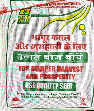 NSC-MUSTARD/RH-761-2KG SEEDS