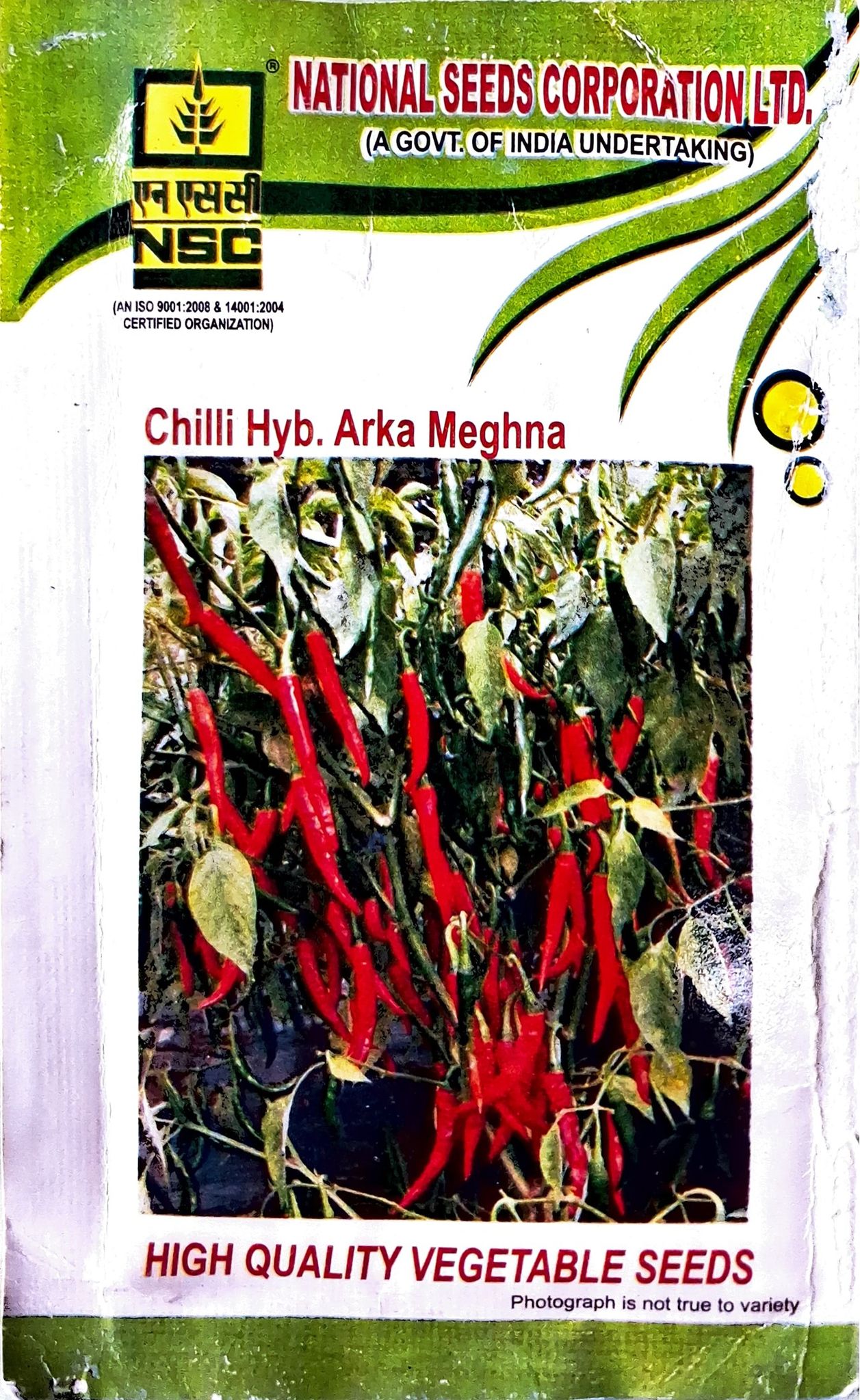 NSC HYBRID CHILLI ARKA MEGHNA 