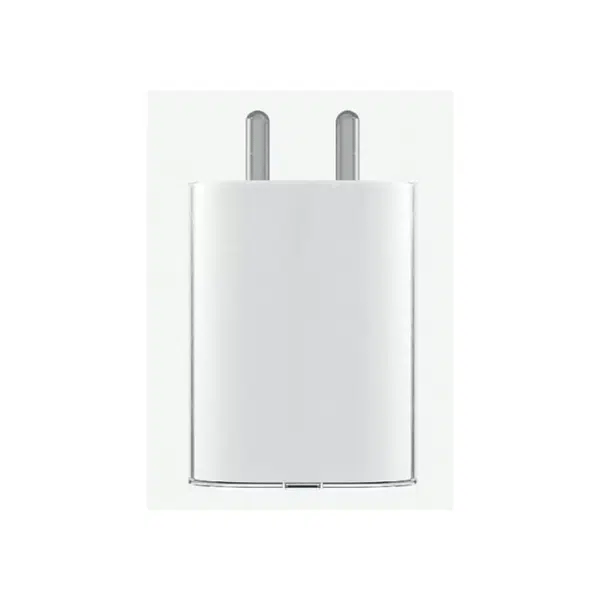 Nothing phone 45W Charger Adapter