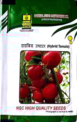 NSC Hybrid Tomato- Arka samrat 