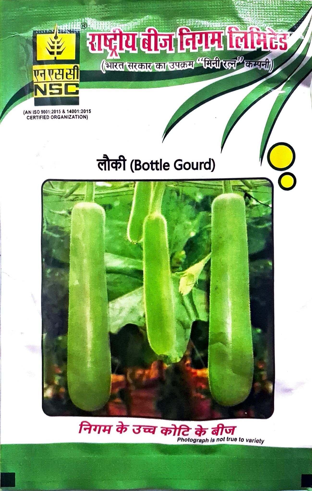 NSC Bottle gourd - PH3 