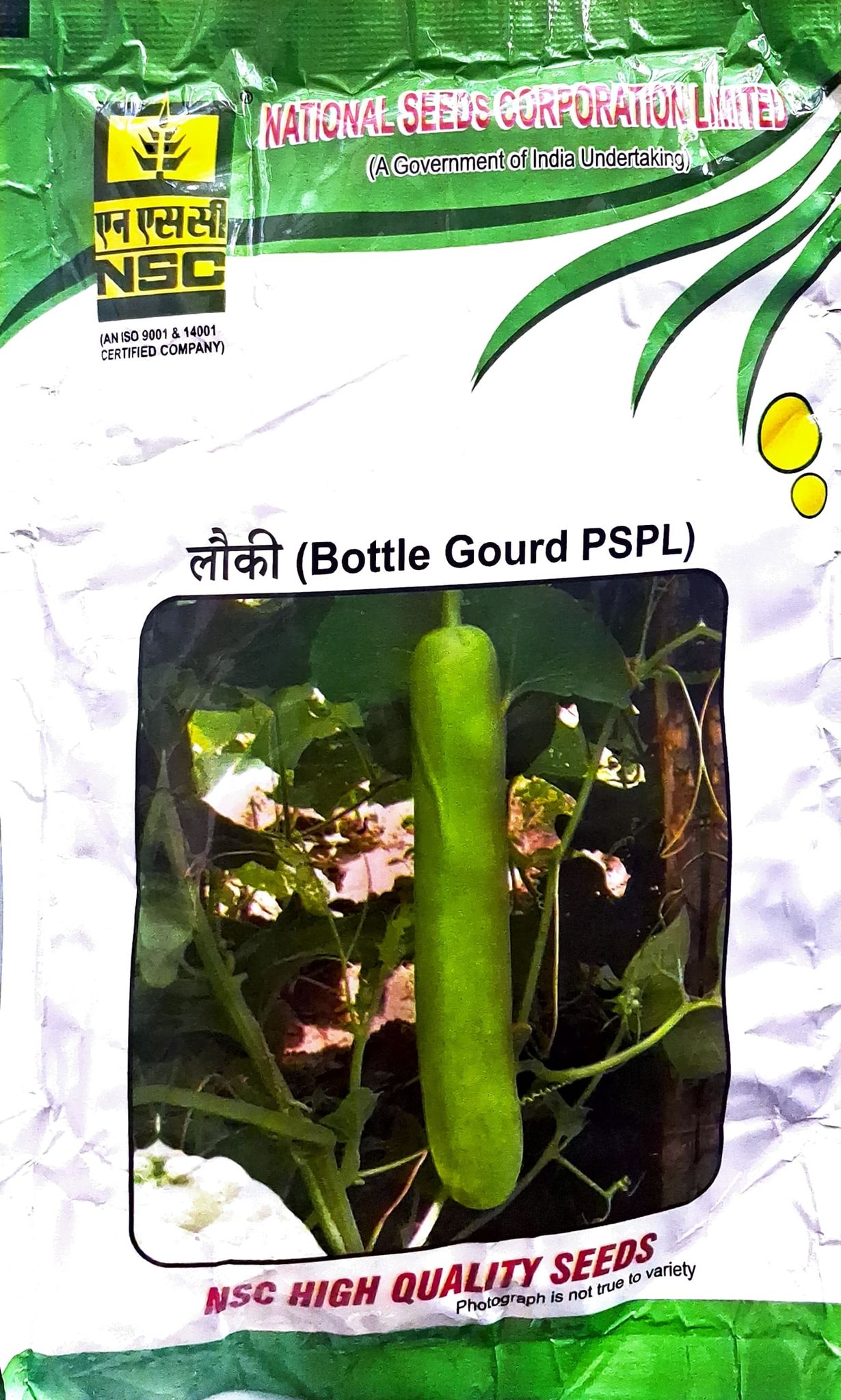 NSC Bottle gourd - PSPL variety 