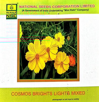 NSC-COSMOS BRIGHTS LIGHTS MIXED-3 GMS SEEDS