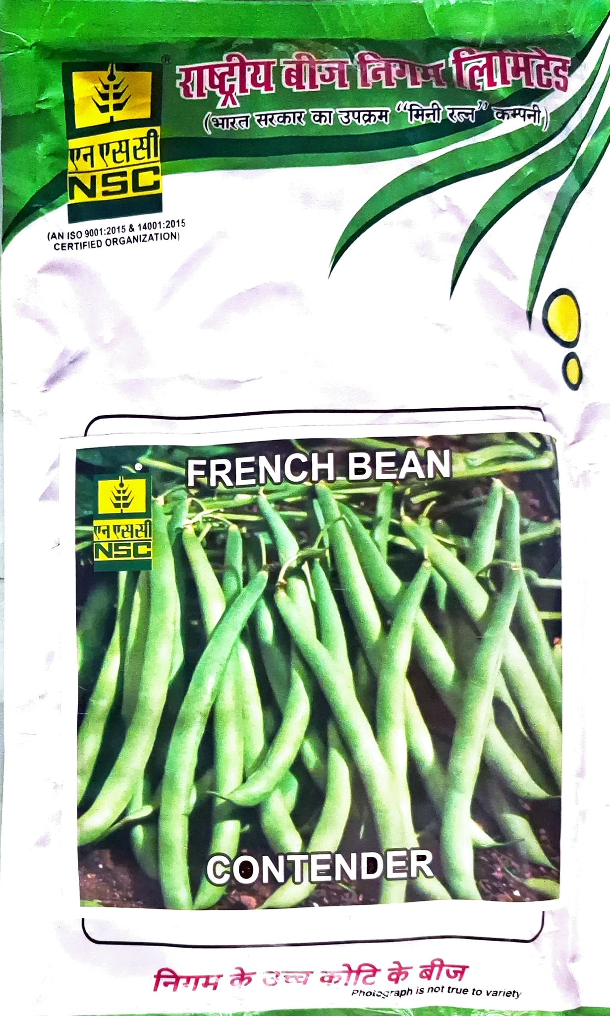 NSC French bean - contender 