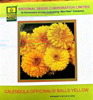 NSC-CALENDULA OFFICINALIS BALLS YELLOW-3 GMS SEEDS