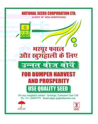 Ragi Seeds (Indaf-7 Variety)