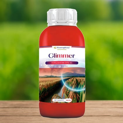 Glimmer (Thifluzamide 24% SC)