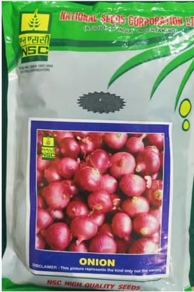 NSC ONION-AFDR, 1 Kg, NSC ONION-AFDR, 1 Kg,