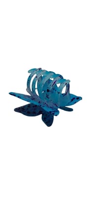 White Butterfly Hair Claw Clip with Orange Speckles