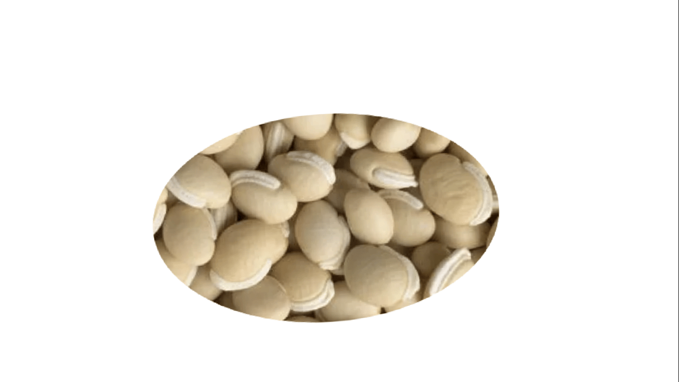 Avarekalu - Dried Hyacinth Beans by trendSmash™ 5kg