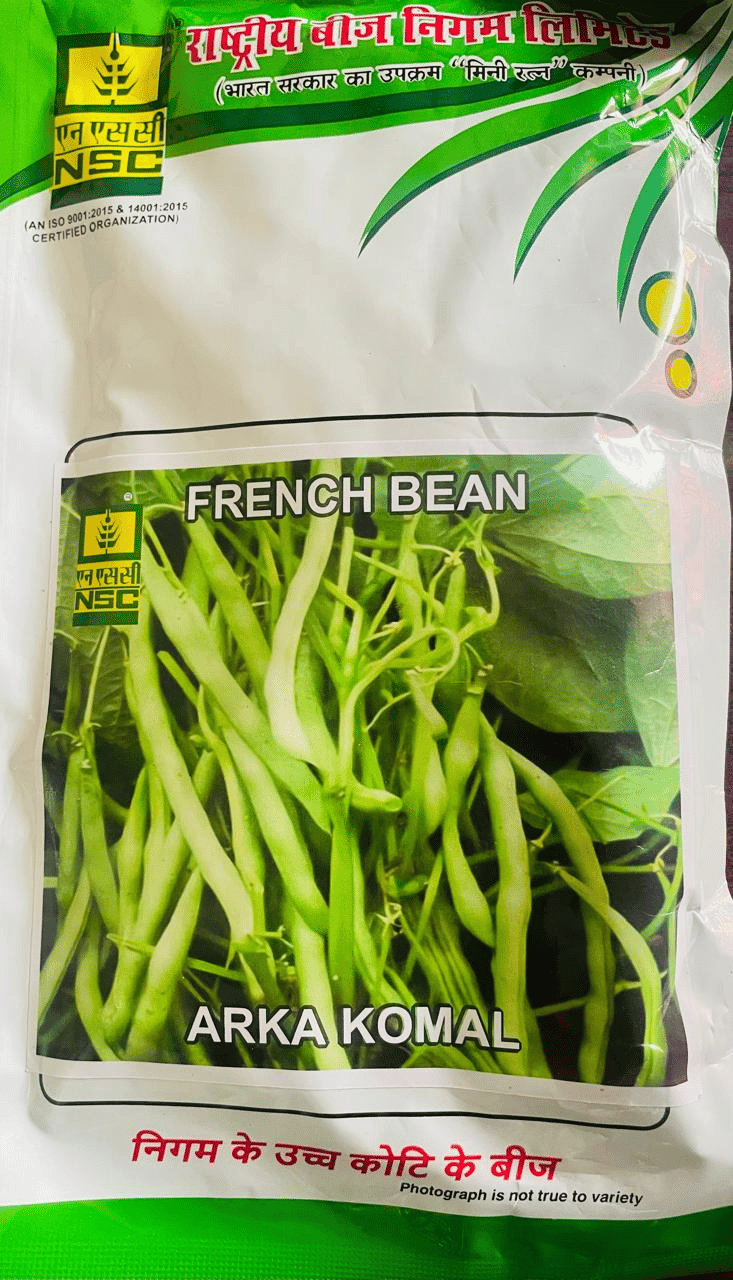 NSC French bean (Variety AK)